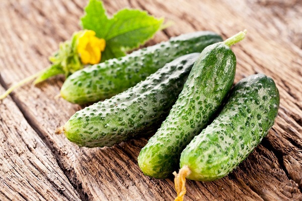 Опис найкращих, урожайних сортів огірків для теплиць з полікарбонату