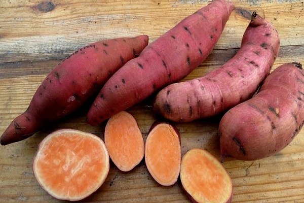 Опис солодкої картоплі Батат, його користь і шкоду, вирощування і догляд