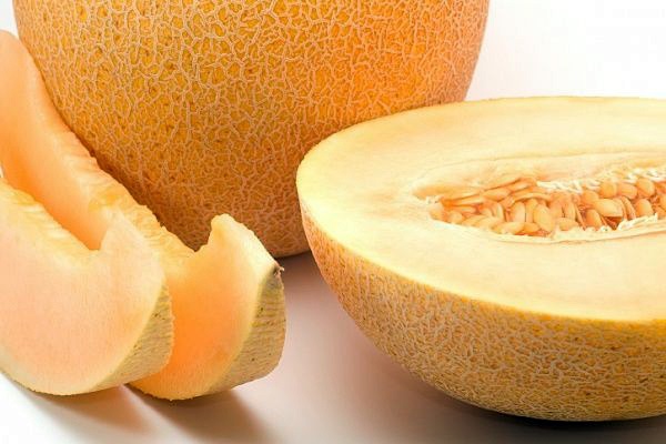 Опис сорту ананасовій дині, особливості вирощування та догляду