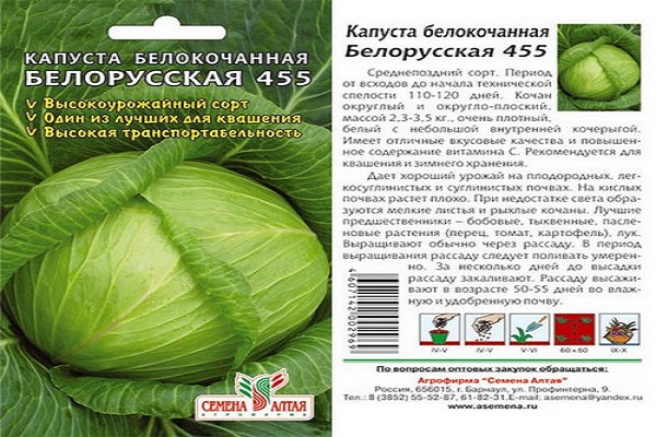 Опис сорту капусти Білоруська, особливості вирощування та догляду