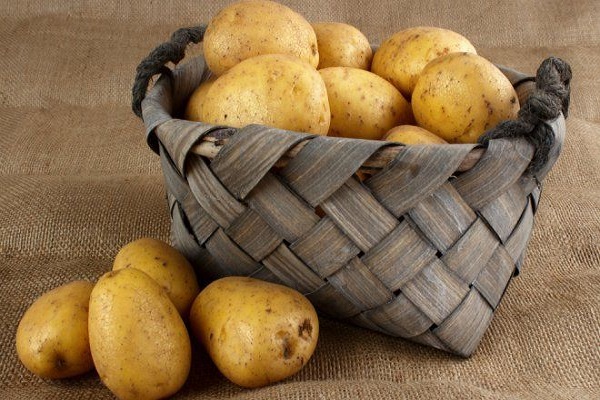 Опис сорту картоплі Єлизавета, особливості вирощування та догляду