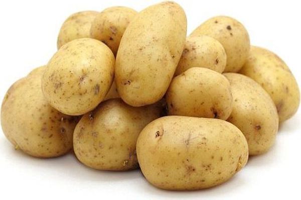 Опис сорту картоплі Гала, особливості вирощування та догляду