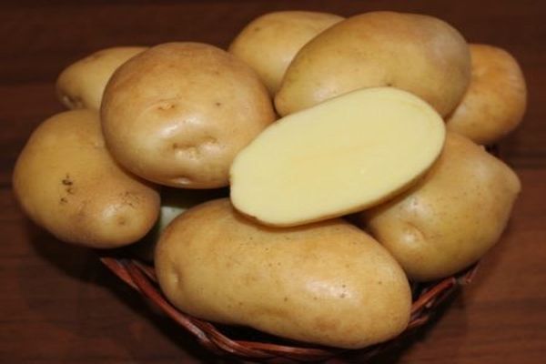 Опис сорту картоплі Гуллівер, особливості вирощування та врожайність