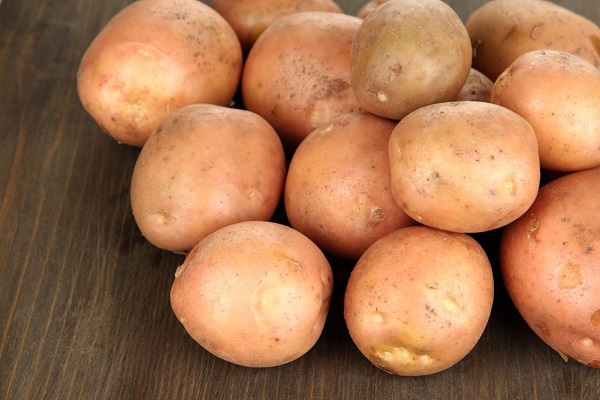Опис сорту картоплі Ірбитський, рекомендації з вирощування та врожайність