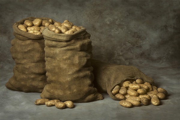 Опис сорту картоплі Колобок, особливості вирощування та догляду