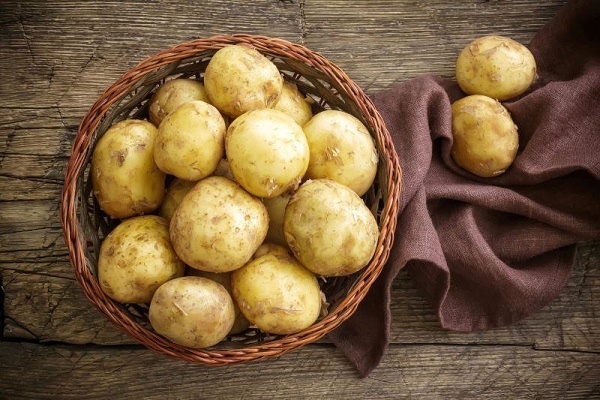 Опис сорту картоплі Коломбо, особливості вирощування та догляду