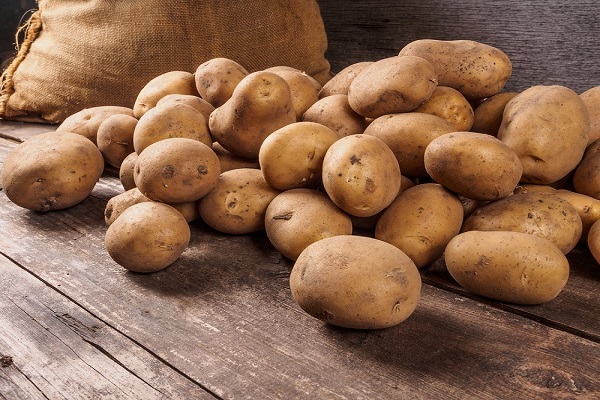 Опис сорту картоплі Коломбо, особливості вирощування та догляду