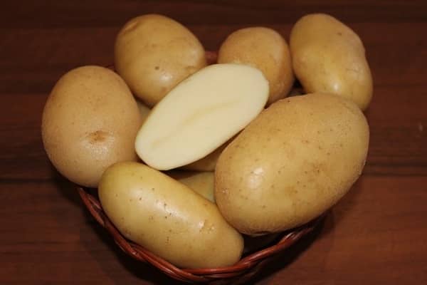 Опис сорту картоплі Здоровань, вирощування і догляд
