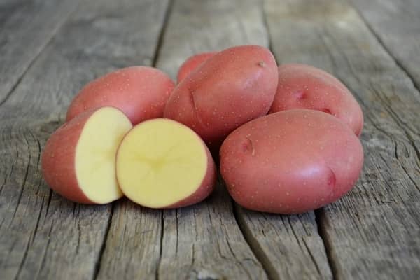 Опис сорту картоплі Родріго, його характеристика і рекомендації по вирощуванню