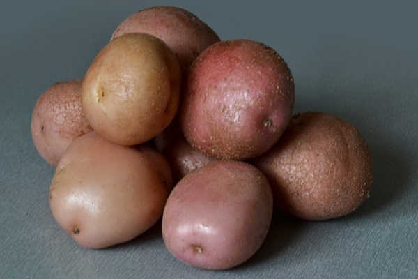 Опис сорту картоплі Романо, особливості вирощування та догляду
