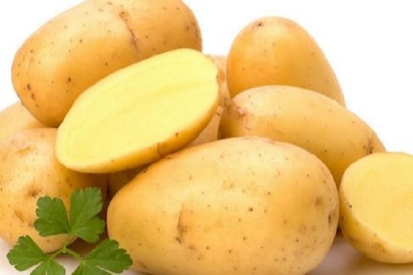 Опис сорту картоплі Зорачка, особливості вирощування та догляду