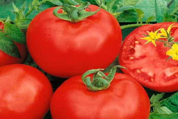 Опис сорти томата Алтайський червоний і його характеристики