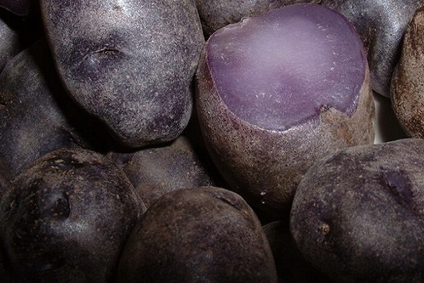 Опис сортів фіолетовою картоплі, її корисні властивості