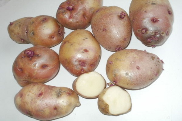 Опис сортів картоплі Іван да Маря і Іван да Шура, вирощування та врожайність