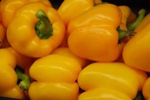 Опис сортів жовтих перців і їх характеристики