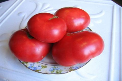 Особливості сорти томата Малиновий рай і врожайність