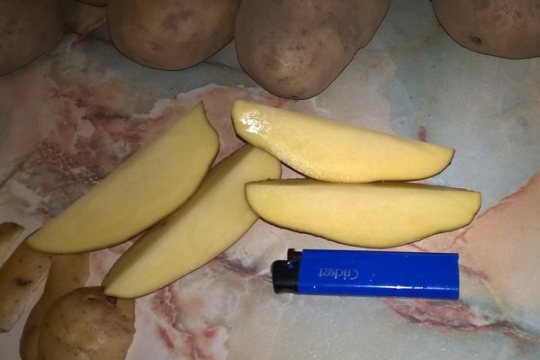 Особливості вирощування картоплі сорту Бриз, опис і характеристика