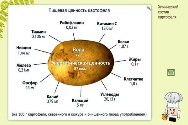 Користь і шкода картоплі для здоровя людини