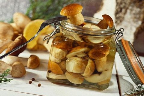 Прості рецепти засолювання білих грибів на зиму в домашніх умовах