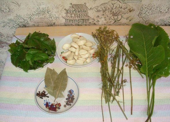 Консервація огірків на зиму — класичні рецепти приготування