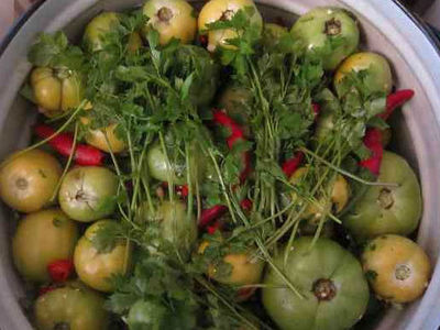Кращі рецепти засолювання помідорів в банках на зиму — готуємо смачно і просто