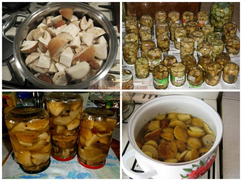 Маринування білих грибів – прості і смачні рецепти в домашніх умовах