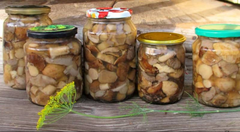 Маринування білих грибів – прості і смачні рецепти в домашніх умовах
