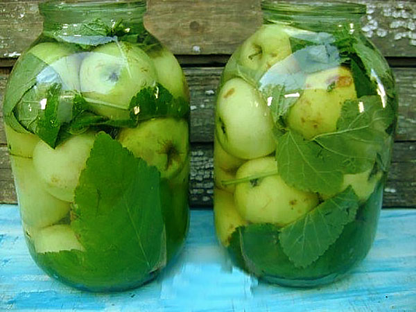 Мочені яблука – смачна і корисна заготівля
