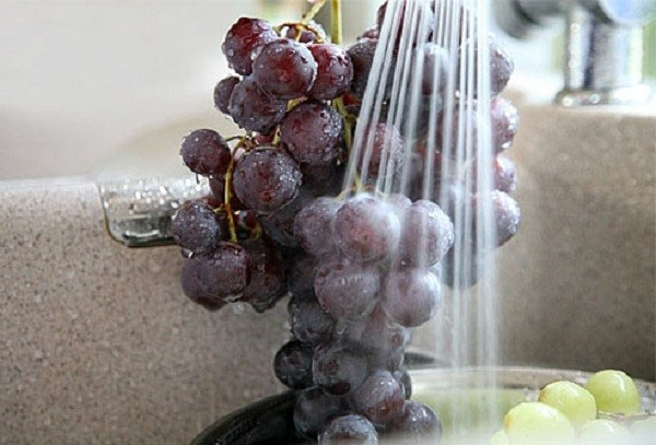 Заготовки з винограду на зиму – прості, надійні рецепти та оригінальні ідеї