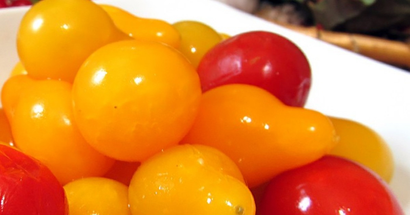 Засолювання помідорів в бочці — бабусині секрети