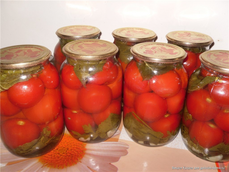 Засолювання помідорів на зиму — секрети приготування овочів