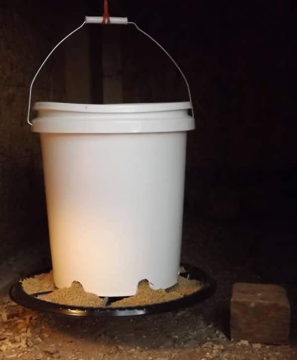 Бункерна годівниця для курей — чистота і порядок в приміщенні для птахів