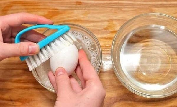 Інкубатор для яєць – як правильно користуватися в домашніх умовах