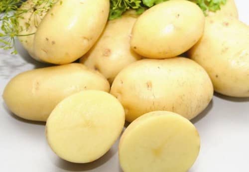 Найсмачніші та врожайні сорти картоплі — поради щодо вибору та вирощування в саду