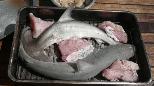 Копчена акула: рецепт приготування, склад, смакові якості