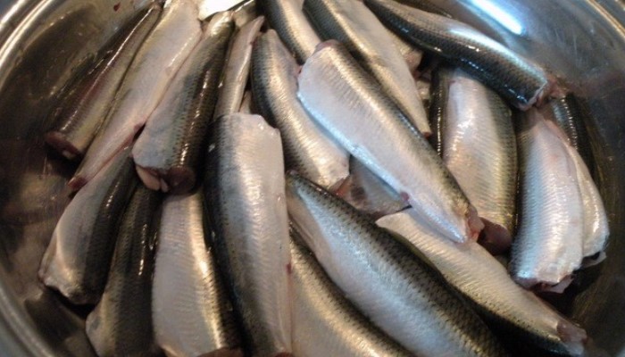 Копчена ряпушка: рецепти від кухарів приготування