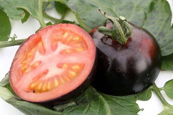 Кращі сорти чорних помідорів — особливості та рекомендації по вирощуванню