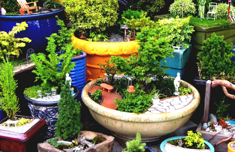 Міні сад будинку – правила і покрокова інструкція