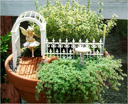 Міні сад будинку – правила і покрокова інструкція