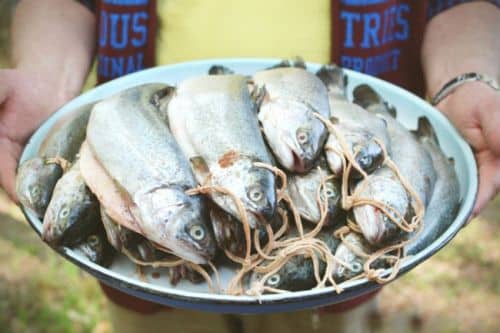 Як засолити рибу для копчення: підготовка до засолюванні в коптильні, способи замочувати