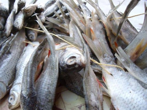 Вялена риба: як правильно завялить, скільки зберігати за часом, рецепт маринаду