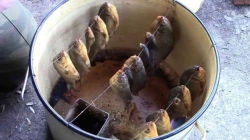Як закоптити рибу в коптильні гарячого копчення: рецепти, як і скільки коптити