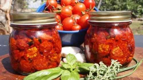 Вялені помідори: рецепт помідорів на зиму, як приготувати в сушарці для овочів