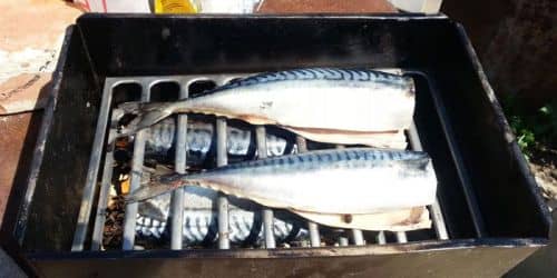 Як засолити рибу для копчення: підготовка до засолюванні в коптильні, способи замочувати