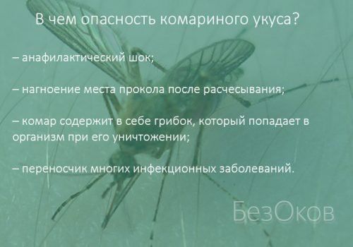 Реакція на укуси комарів у дітей