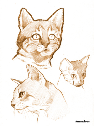 Покрокове опис створення малюнка мордочки кішки; як поетапно створити манікюр з котиками