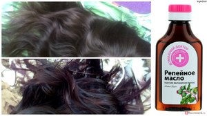 Репяхову олію для волосся: як користуватися і правильно наносити на волосся, як його роблять в промисловості