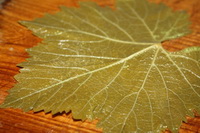 Долма у виноградних листках рецепт з фото покроково