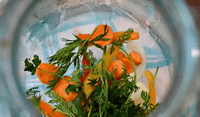 Помідори з морквяної бадиллям на зиму рецепти на 1 літрову банку