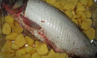Риба запечена у фользі та духовці — 5 рецептів з фото покроково